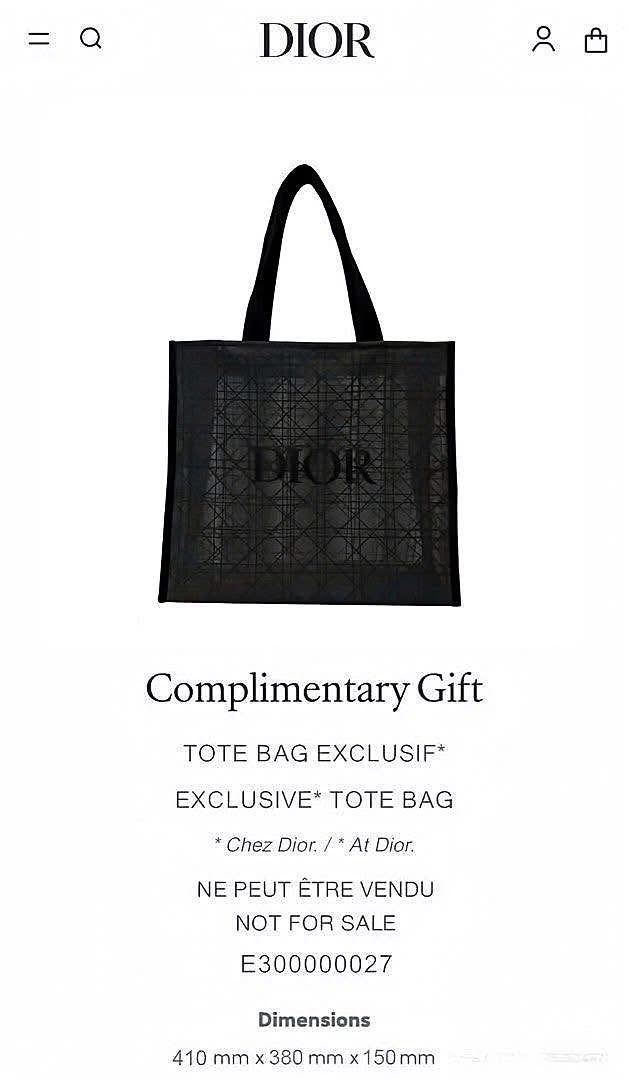 Onhand and Ready to Ship - Dior Black Mesh Tote - GWP