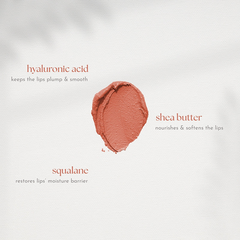 Absidy Cashmere Kiss Matte Lipstick
