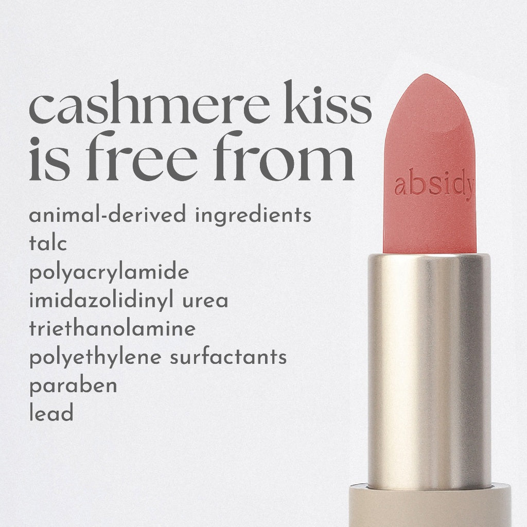 Absidy Cashmere Kiss Matte Lipstick